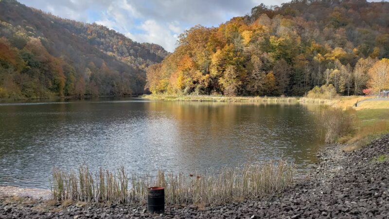 Rockhouse Lake Park - Sharples, WV