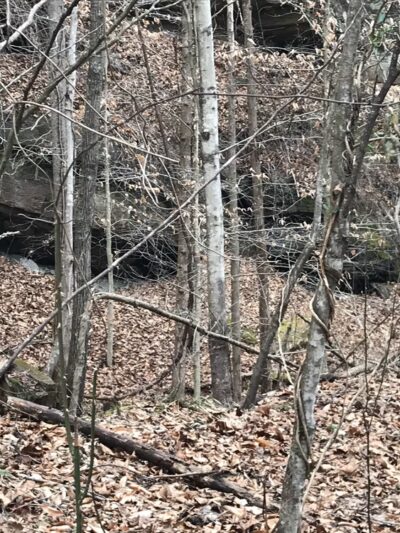 Rockhouse Lake Park - Sharples, WV