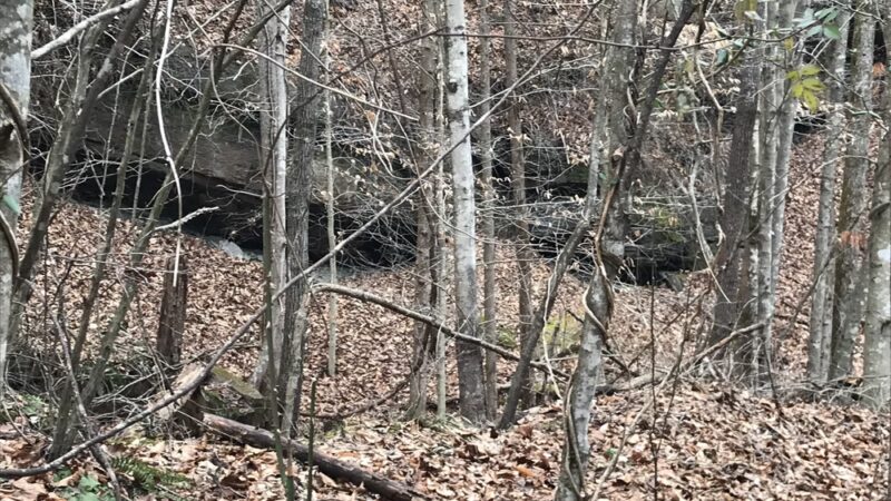 Rockhouse Lake Park - Sharples, WV