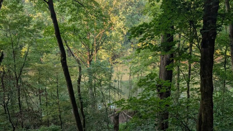 Trout Island Trail, Sharpsville - Sharpsville, PA