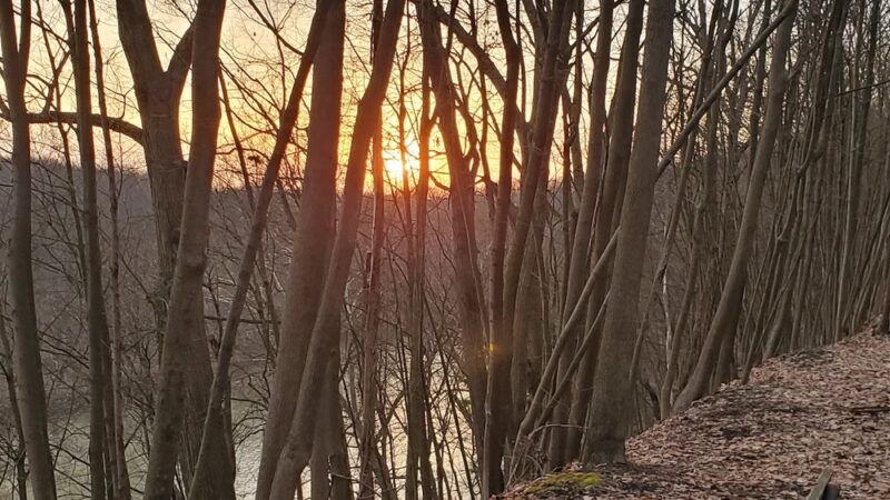 Trout Island Trail, Sharpsville - Sharpsville, PA