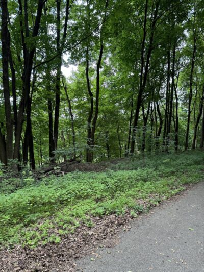 Trout Island Trail, Sharpsville - Sharpsville, PA
