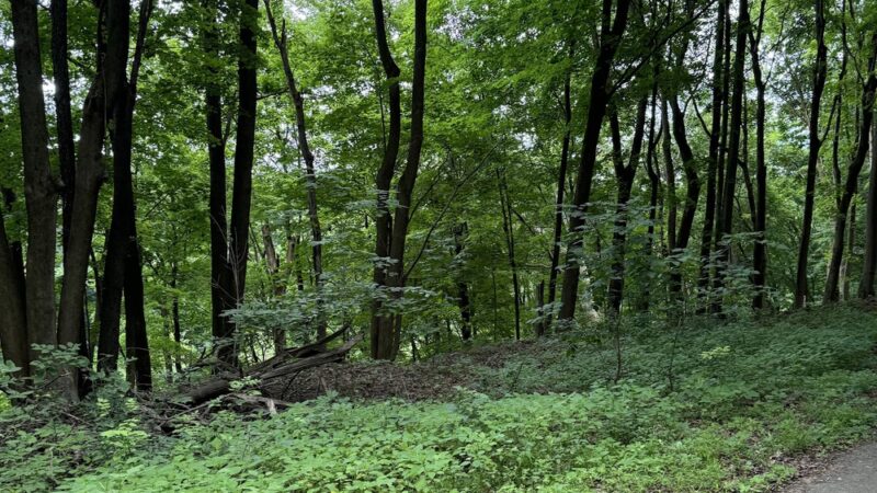 Trout Island Trail, Sharpsville - Sharpsville, PA