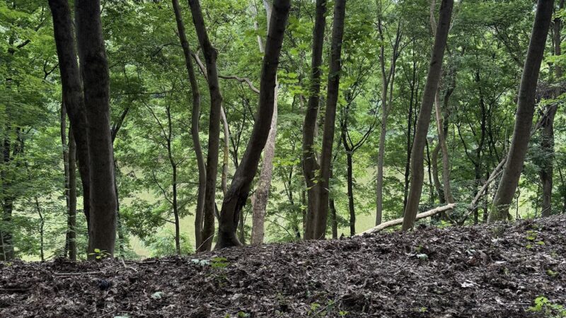Trout Island Trail, Sharpsville - Sharpsville, PA