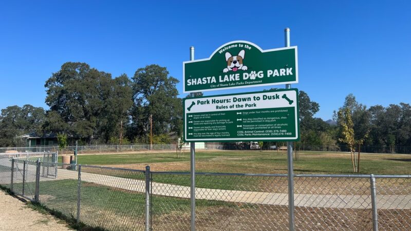 Shasta Lake Dog Park - Shasta Lake, CA