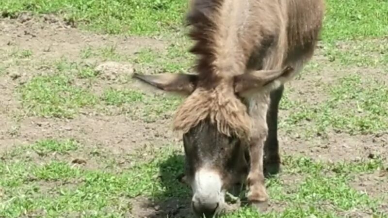 The Lands at Hillside Farms - Shavertown, PA
