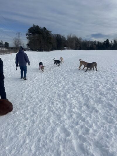 Sheboygan Dog Park - Sheboygan, WI