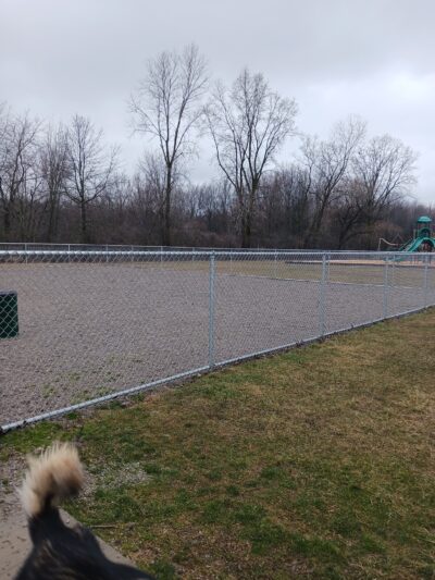 Sheffield Lake Dog Park Runner - Sheffield Lake, OH