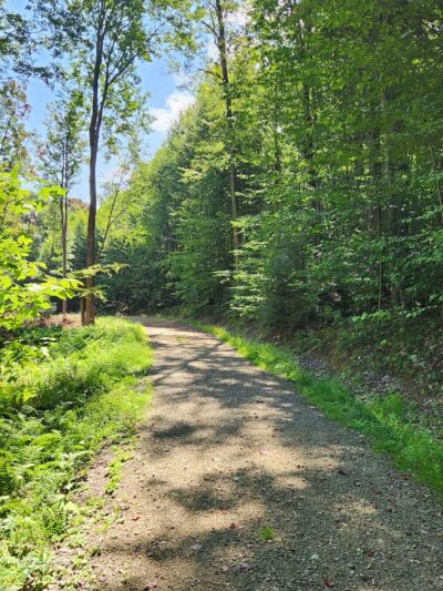 Hector Falls Parking - Sheffield, PA