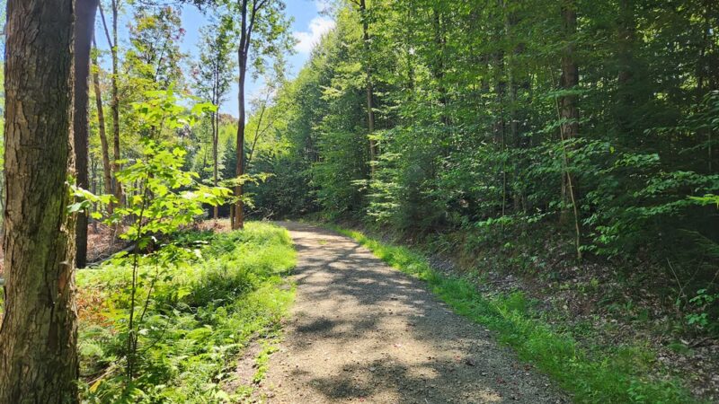 Hector Falls Parking - Sheffield, PA