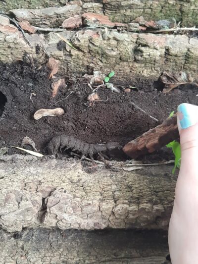 Big Blue River Trailhead - Shelbyville, IN