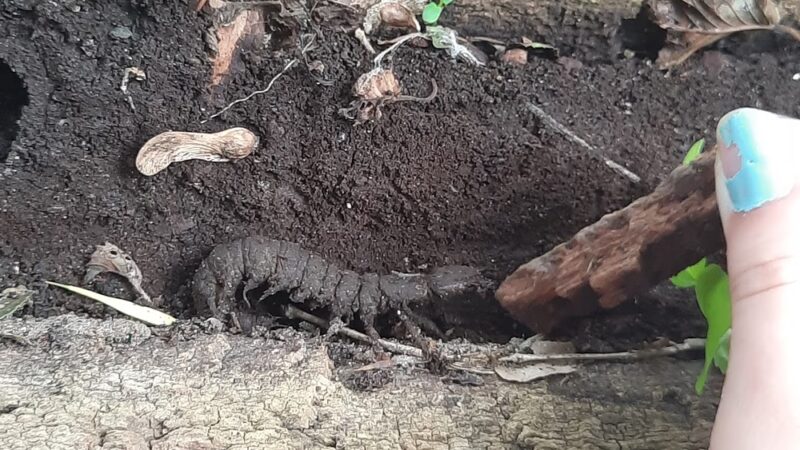 Big Blue River Trailhead - Shelbyville, IN