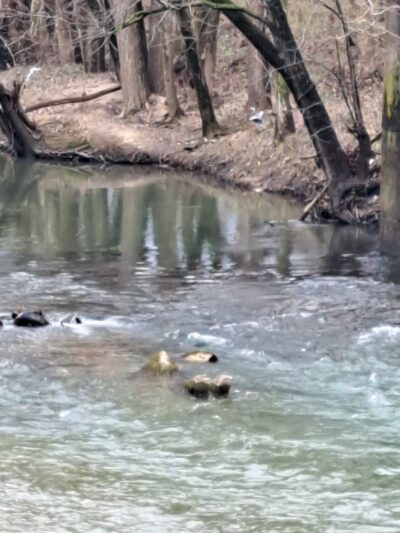 Big Blue River Trailhead - Shelbyville, IN