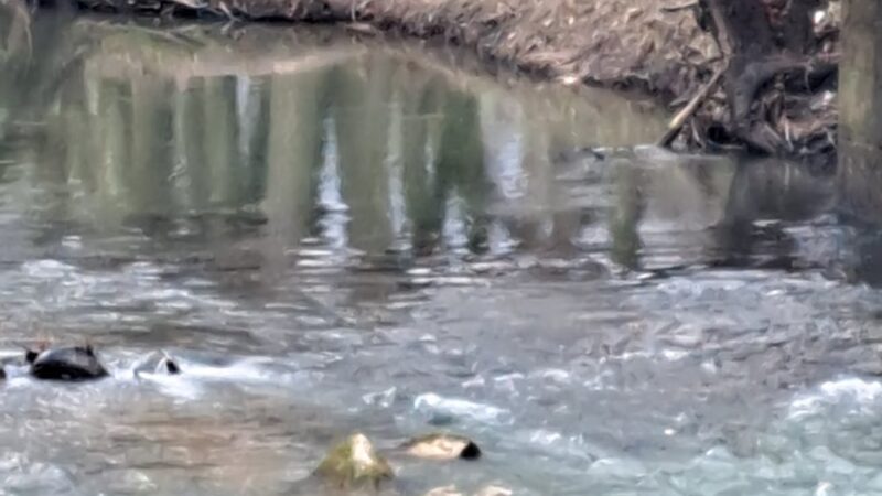 Big Blue River Trailhead - Shelbyville, IN