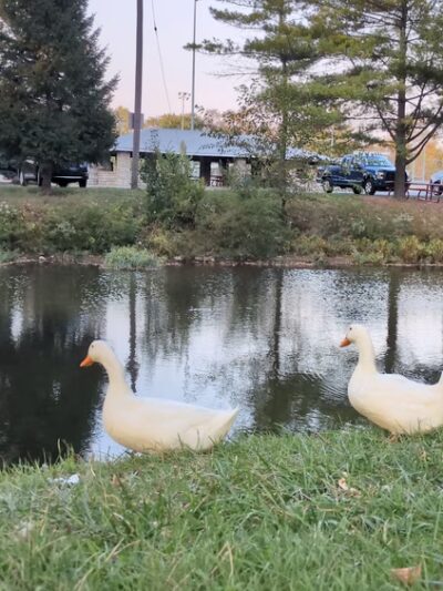 Kennedy Park - Shelbyville, IN