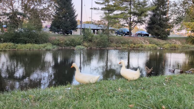 Kennedy Park - Shelbyville, IN