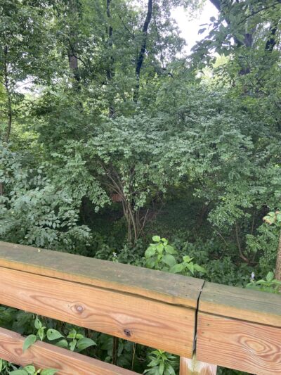 Knauf Greenway - Shelbyville, IN