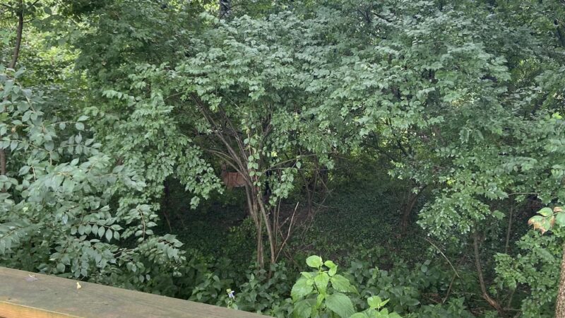 Knauf Greenway - Shelbyville, IN