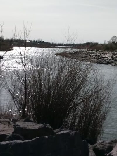 Boat-launch Park - Shelley, ID