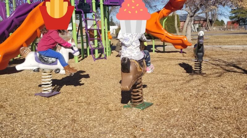 Pillsbury Park - Shelley, ID