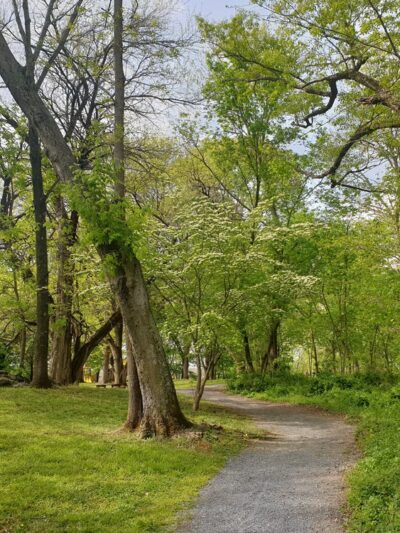 Morgan's Grove Park - Shepherdstown, WV