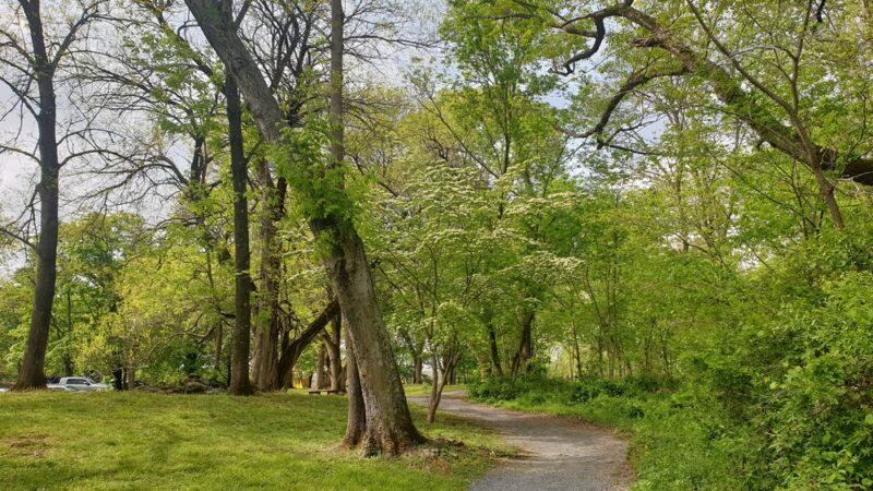 Morgan's Grove Park - Shepherdstown, WV