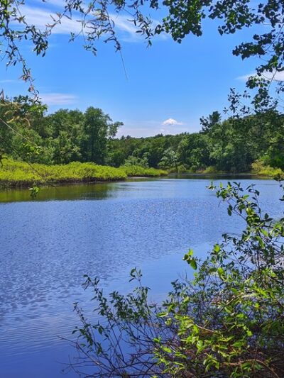 Rocky Narrows - Sherborn, MA