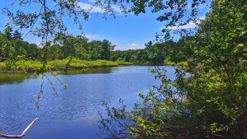 Rocky Narrows - Sherborn, MA