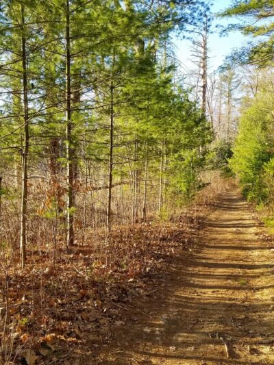 Rocky Narrows - Sherborn, MA