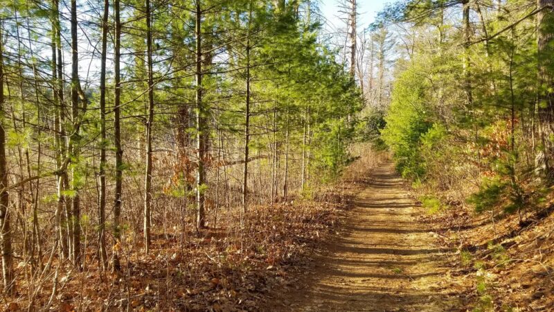 Rocky Narrows - Sherborn, MA