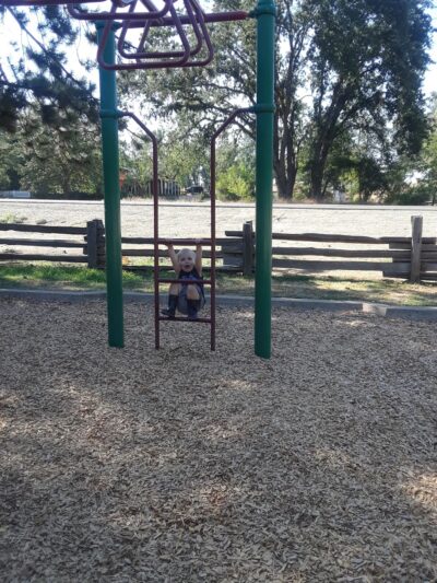 Bradford Park - Shingle Springs, CA