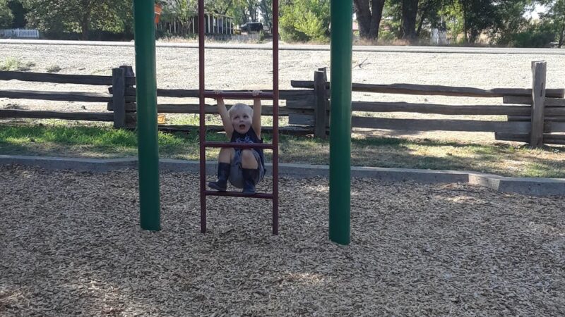 Bradford Park - Shingle Springs, CA