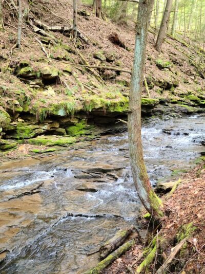 North Country Trail Trailhead - Shippenville, PA