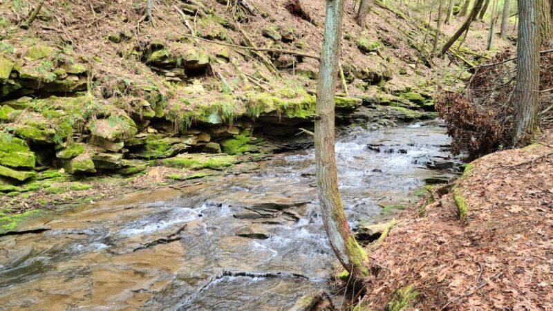 North Country Trail Trailhead - Shippenville, PA