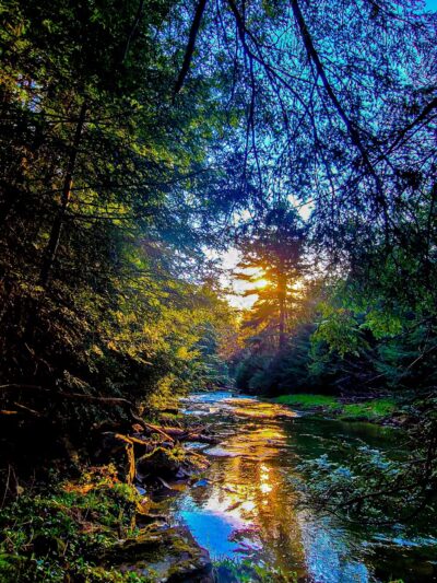 North Country Trail Trailhead - Shippenville, PA