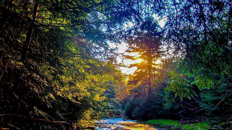 North Country Trail Trailhead - Shippenville, PA