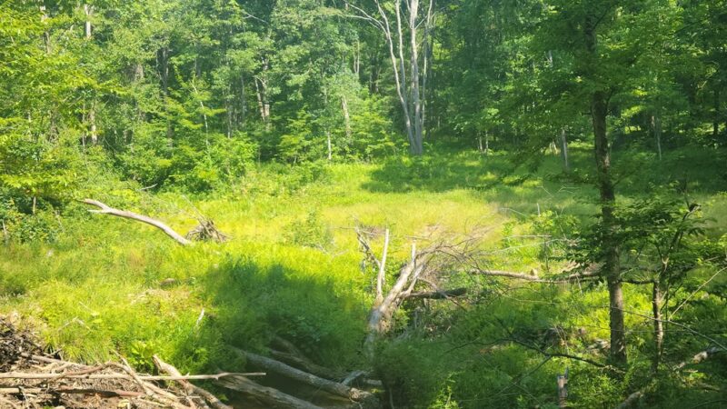 North Country Trail Trailhead - Shippenville, PA