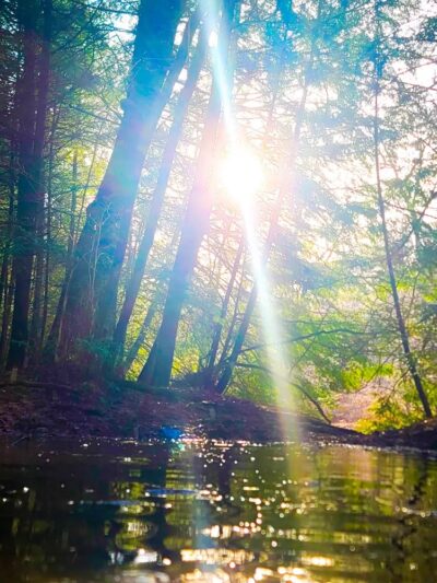 North Country Trail Trailhead - Shippenville, PA