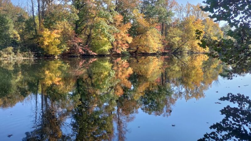 Peter Yarnell Landing Schuylkill River Trailhead - SHOEMAKERSVLE, PA