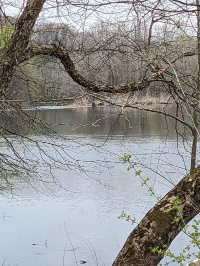 Peter Yarnell Landing Schuylkill River Trailhead - SHOEMAKERSVLE, PA