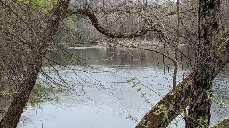 Peter Yarnell Landing Schuylkill River Trailhead - SHOEMAKERSVLE, PA