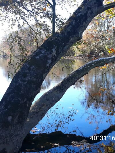 Peter Yarnell Landing Schuylkill River Trailhead - SHOEMAKERSVLE, PA