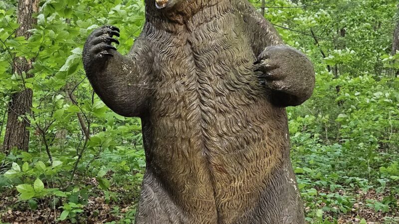 Secret Garden - Shrewsbury, MA