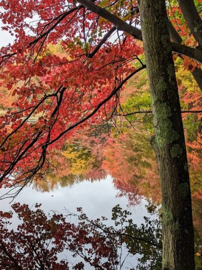 Secret Garden - Shrewsbury, MA