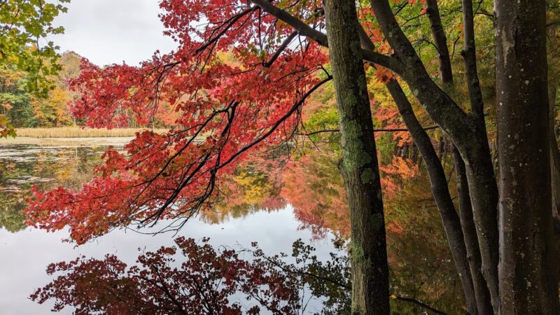 Secret Garden - Shrewsbury, MA