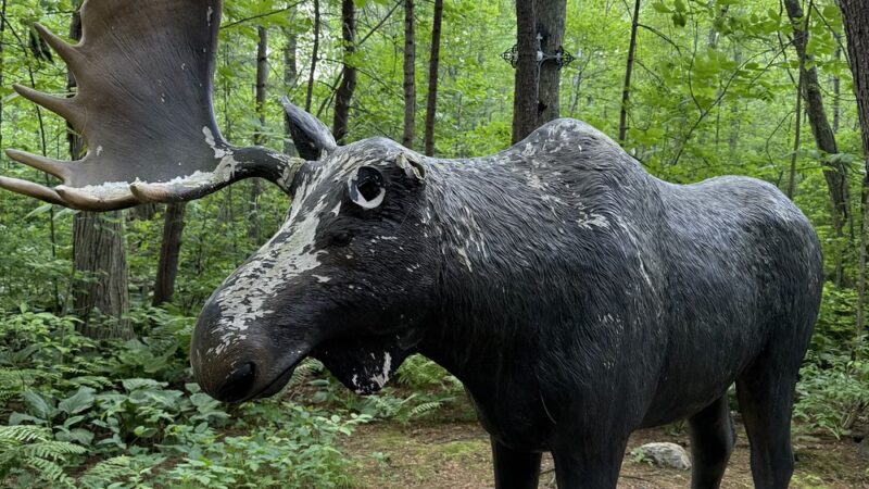 Secret Garden - Shrewsbury, MA