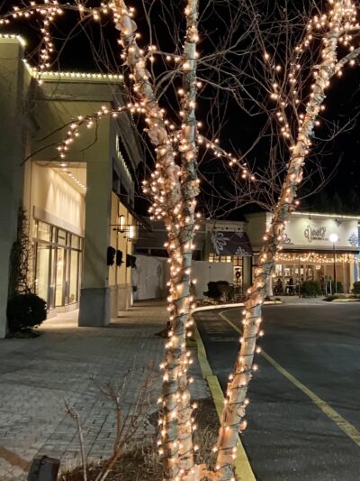 The Grove at Shrewsbury - Shrewsbury, NJ