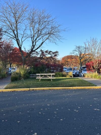 The Grove at Shrewsbury - Shrewsbury, NJ