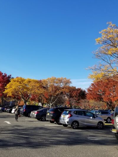 The Grove West - Shrewsbury, NJ