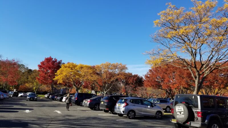 The Grove West - Shrewsbury, NJ